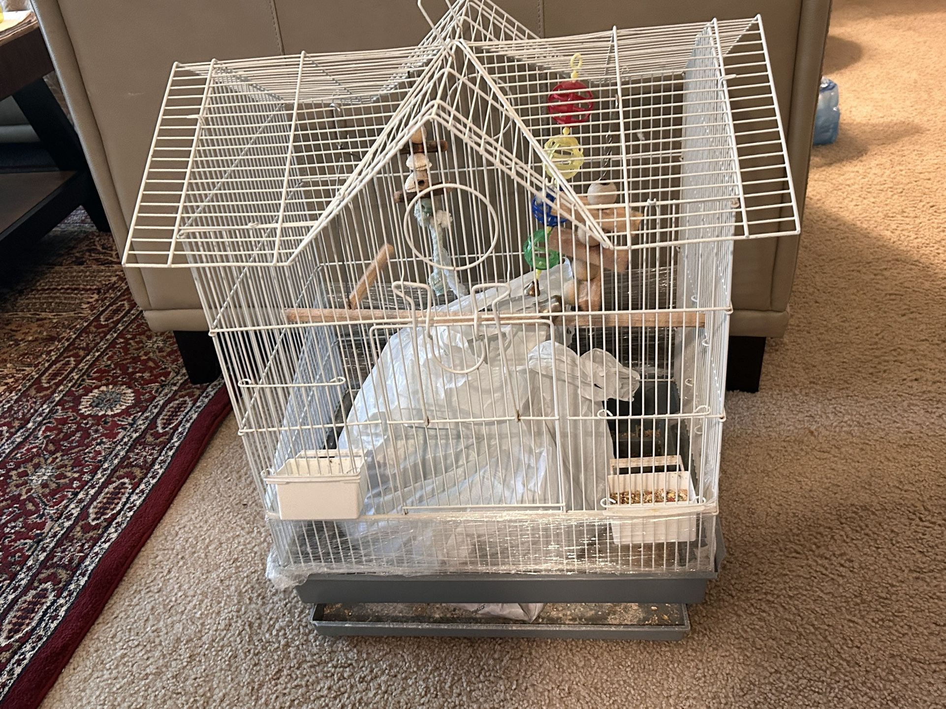 Bird Case