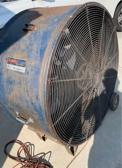 Fan