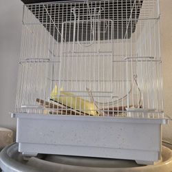 Cage