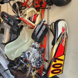 Shifter Kart 125cc Modena Motor Dr Chassis 