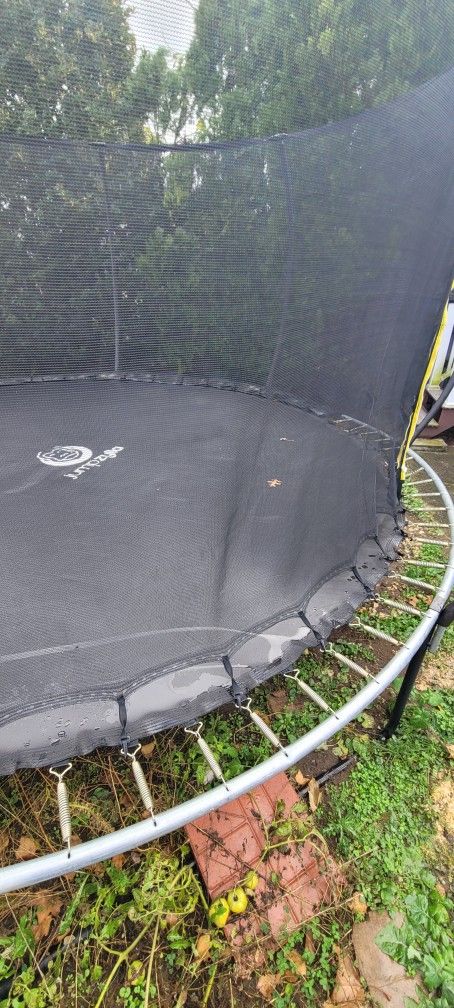 Jumping Trampoline