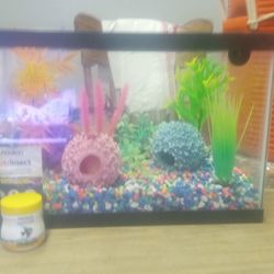 Fish Tank Complete With Everything It Just Needs A Fish 