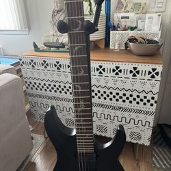 Schecter Guitar