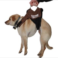 Doggy Life Vest …wakeboard Style Vest 
