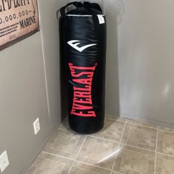 Punching Bag Never Used Brand New 