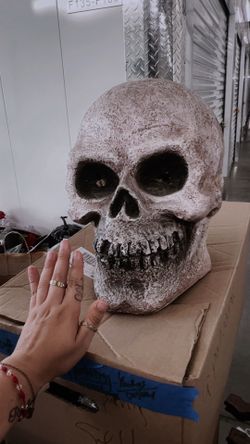 Skull