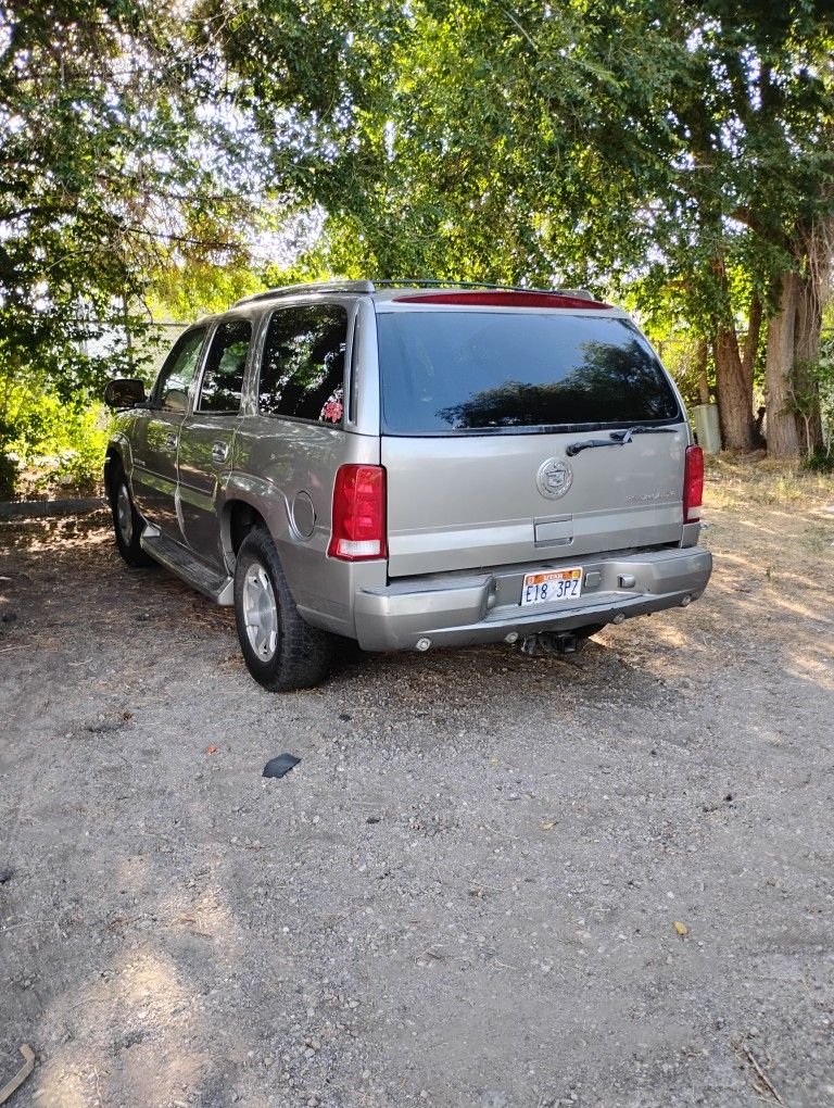 Cadillac, Escalade, Gold, SUV