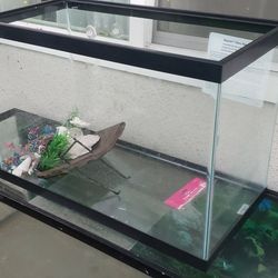 Fish Tank 