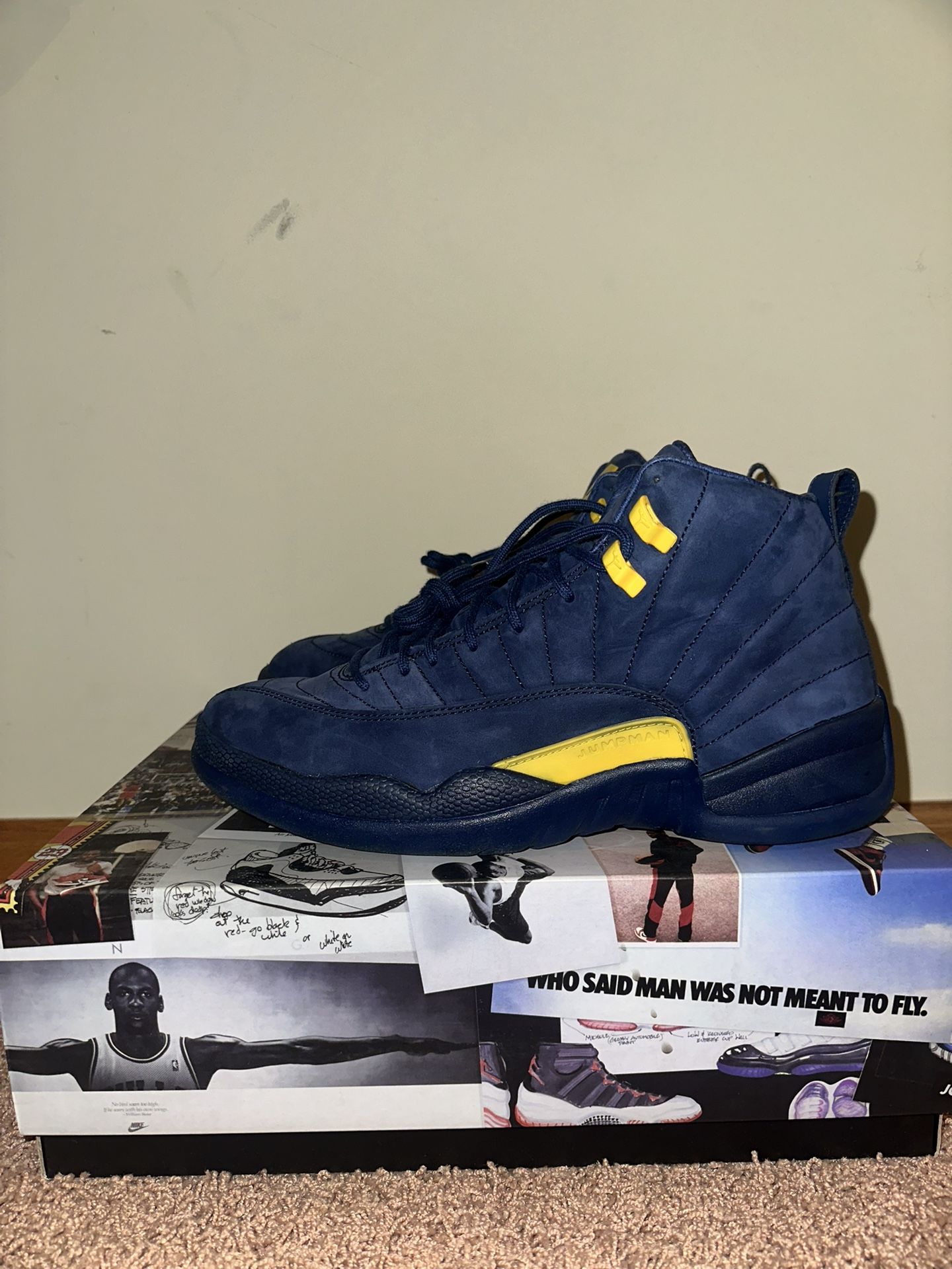 Jordan 12 Michigan