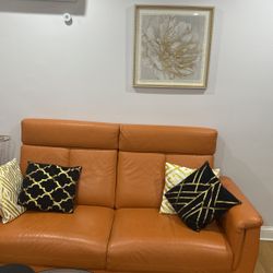 Leather Pullout Sofa, bed, queen, size