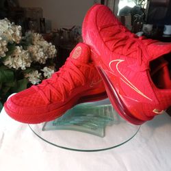NIKE LEBRON 17 LOW TITAN AGIMAT SNEAKERS size 9.5