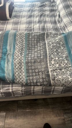 Comforter
