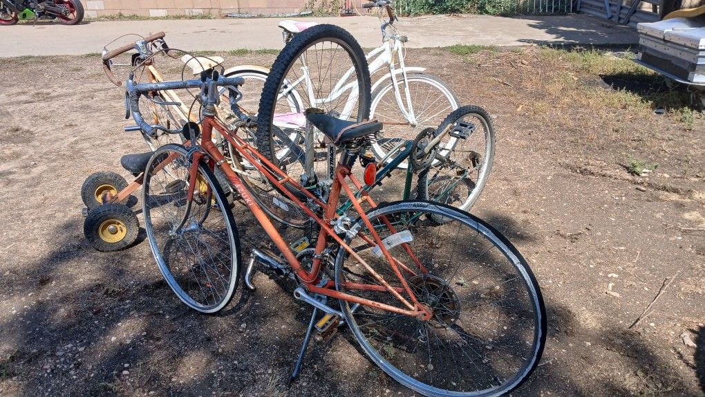 Bicycles 10 Speeds Beach Cruzer 