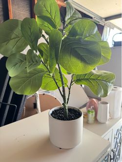 Faux Fiddle Leaf Fig Plant in White Modern Pot