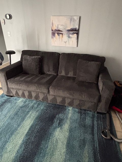 Pull-Out Sofa – Clean, Comfortable – $199 (Scottsdale)