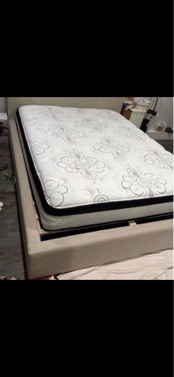 12 inch Queen Hybrid plush mattress