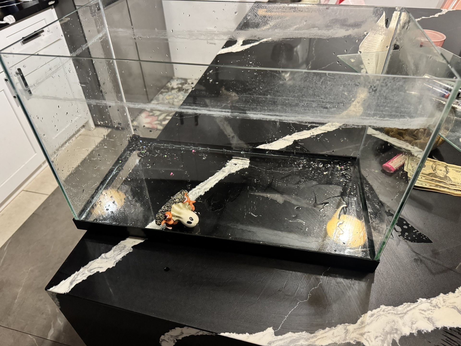 10 Gal Fish Tank