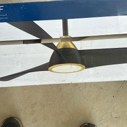 Ceiling Fan For Indoors 
