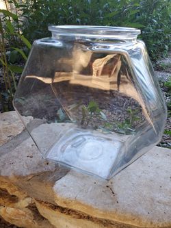 Large Fish Bowl