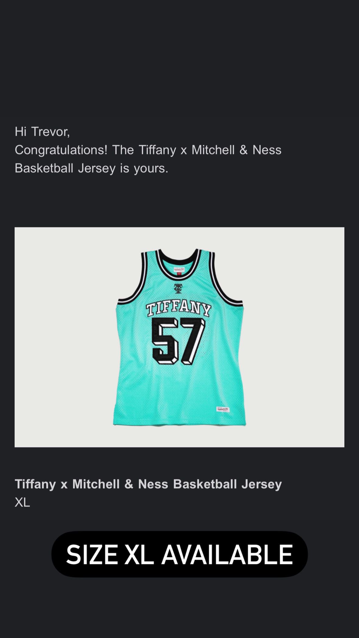 Tiffany x Mitchell & Ness Basketball Jersey