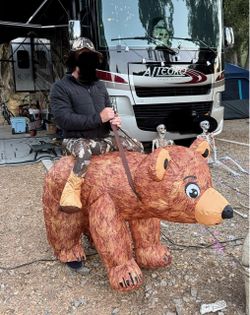 Ride on bear costume