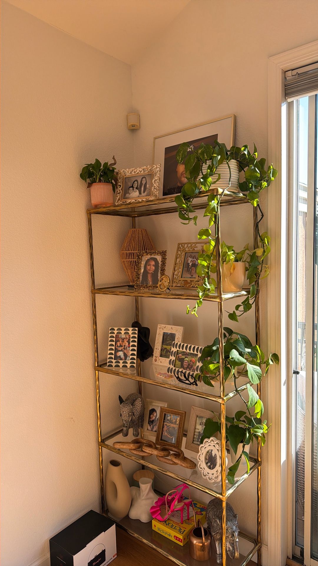 Gold Glass Bookshelf