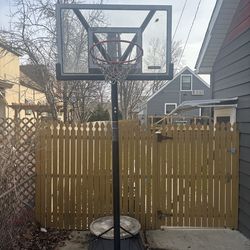 Lifetime Basketball Hoop - FREE