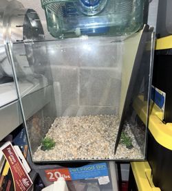 Frameless Cube Aquarium