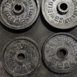 Weider Iron Plates