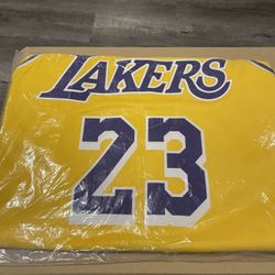 NEW Nike Lebrón James Los Angeles Lakers 23 SZ LG