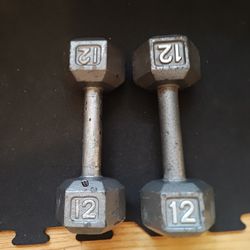 12lb Metal Hex Dumbbells