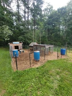 Chicken Coop with Run, Fencing, and Feeders