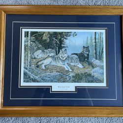 Wolf Pack Print Terry Doughty