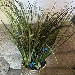 Home Decor $5 At Desoto