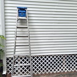 8ft Aluminum Ladder 