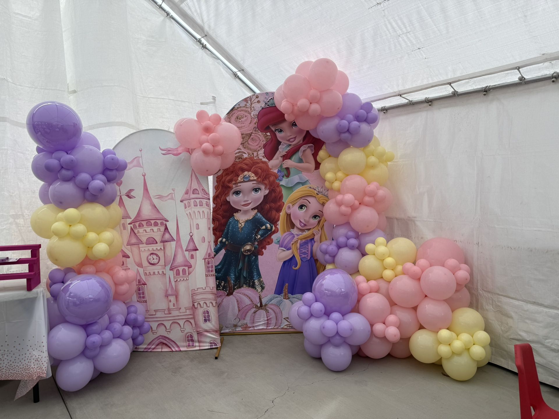 Princess Backdrop