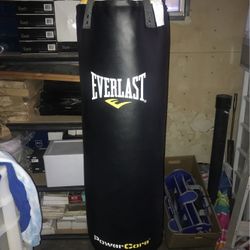 Everlast 80lbs Punching Bag