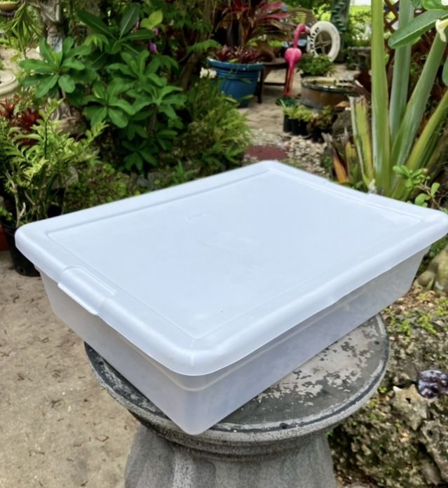 28 Qt. Clear Sterilite Plastic Storage Container: 23”W x 16.25”D x 6”H-$3 Each/all for $20