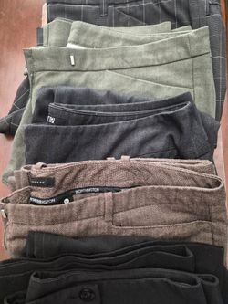5 dressed pants size 12