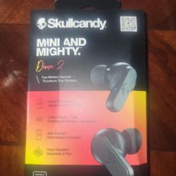 Earphones