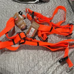 Arcadia Trail Dog Harness Anti Stink 