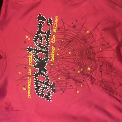 Pink sp5der hoodie