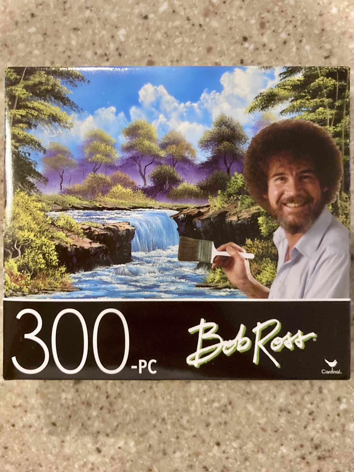 Bob Ross 300 Small Piece Jigsaw Puzzle (Misty Waterfall)