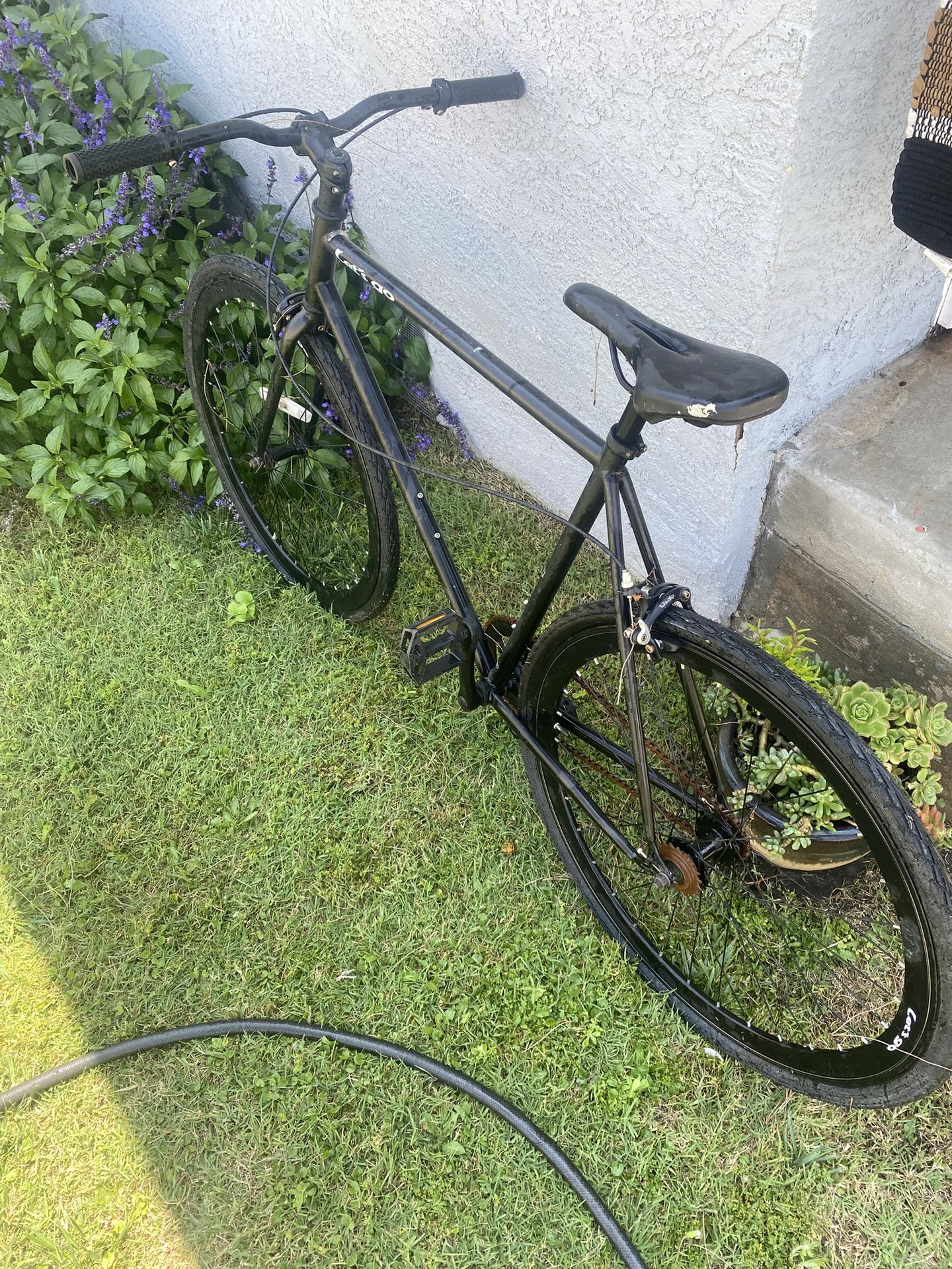 Fixie Bike