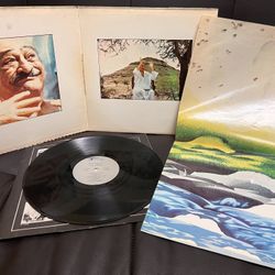 Vintage LP Vinyl Record Album The Who Pete Townsend Who’s Came First?