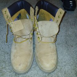 Shoes/tims