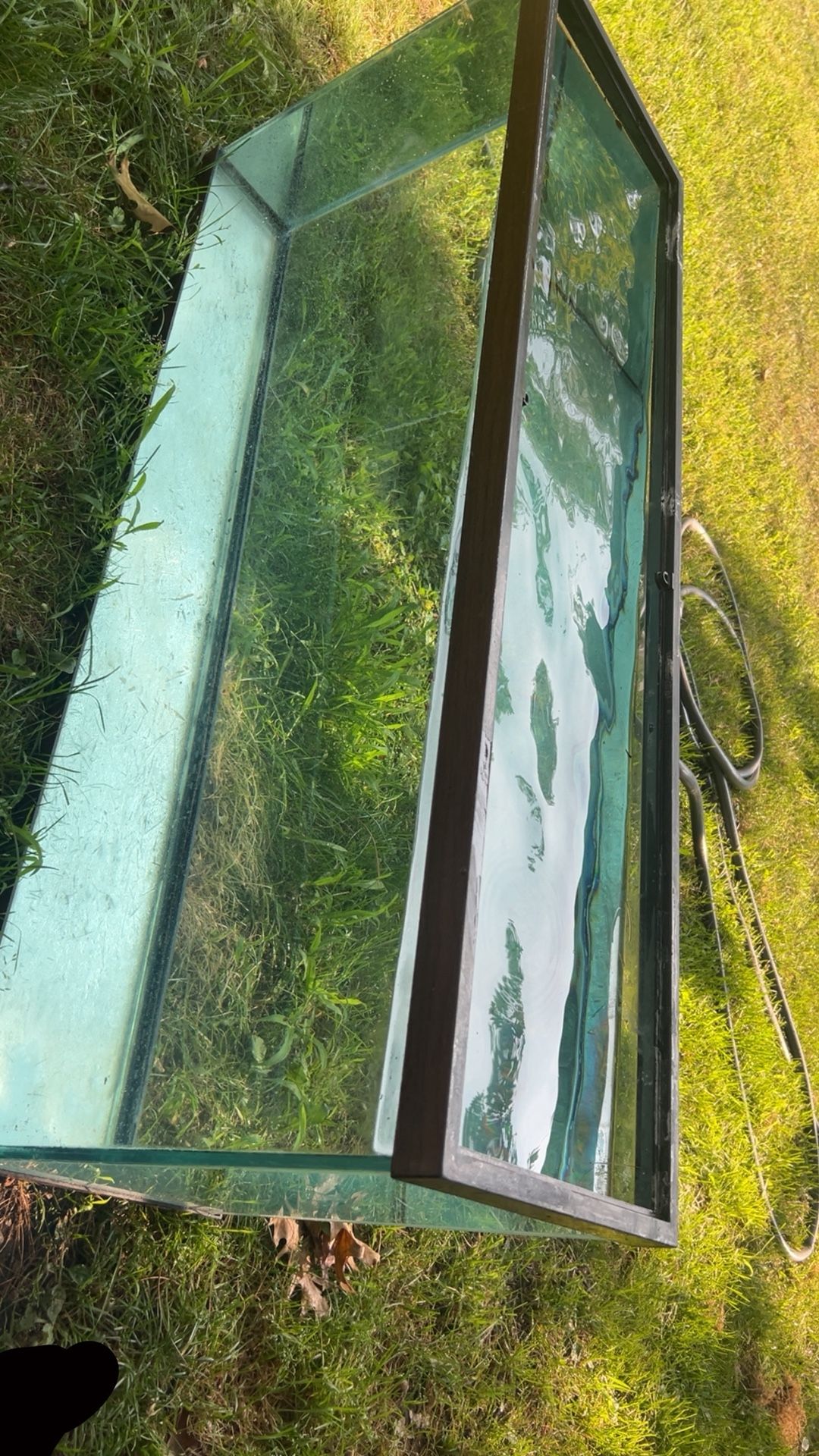 55 gallon fish tank with stand