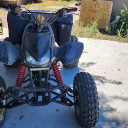 2006 Honda Trx