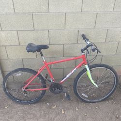 Mountain Bike
