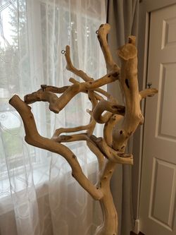 Manzanita Wood Parrot Stand